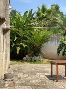 Masseria Montanari - 42