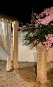 Masseria Montanari - 91