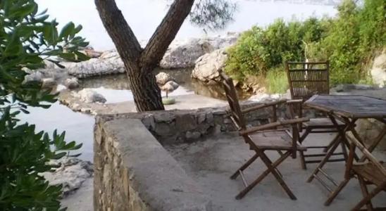 Krasici Green House - 3