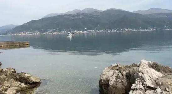 Krasici Green House - 11