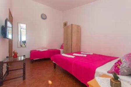 Apartments Petković - 43