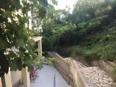 Apartments Petković - 82