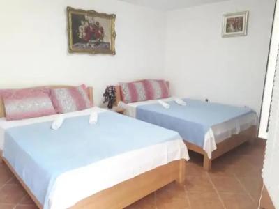 Apartments Petković - 81