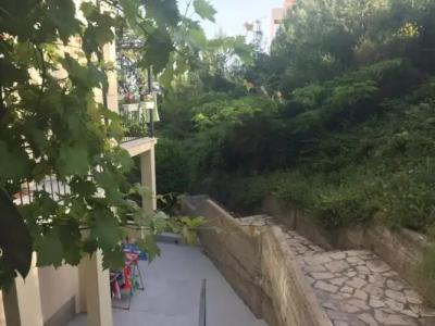 Apartments Petković - 15