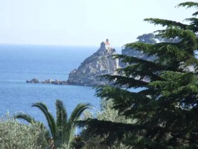 Apartments Petković - 64