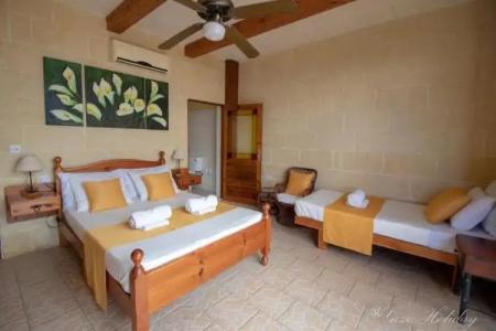 Tal-Bir Farmhouse - 25