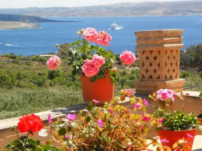 Mediterranea Seaviews Gozo - 16