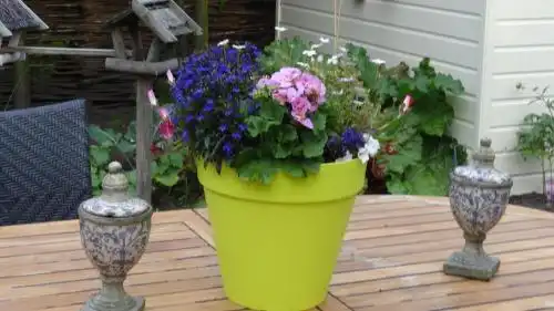 Bed&Breakfast de Noordeling - 11