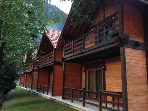 Bungavilla - 2