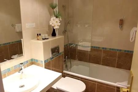 Etoile Saint Ferdinand by Happyculture - 48