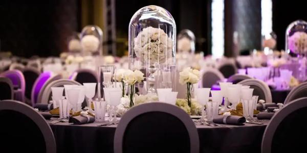 du Collectionneur - 23