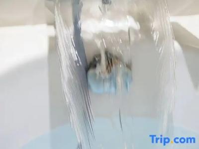 les Jardins de Montmartre - 89