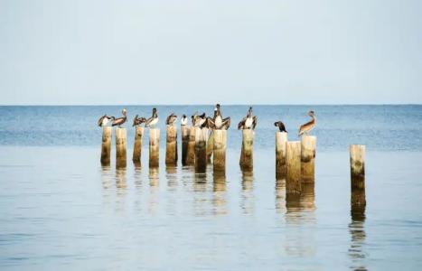 Tuscan Vacation Rental - 16