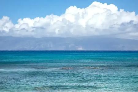 Napili Sunset Beach Front Resort - 9