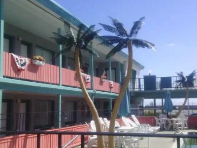 The Beach House - 14