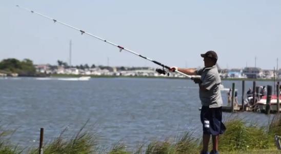 Pyramid Resort Motel - 22