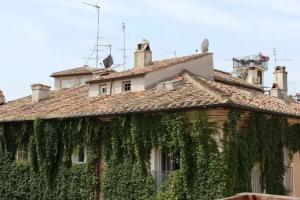 Coronari Palace, Rome