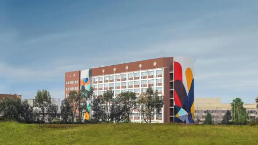 Roma Aurelia Antica - 19