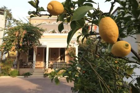 Villa Pirandello - 19