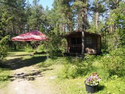 Paatsalu Camping - 12