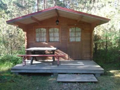 Paatsalu Camping - 11