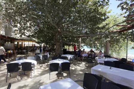 ELPIDA - All Inclusive & Beach Front - 29