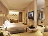 Presidential Lounge Access Double Suite