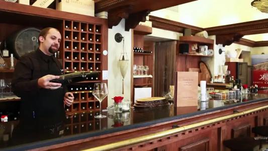 The Pucic Palace - 18