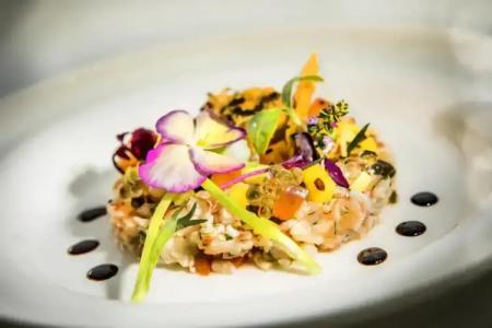 President, Valamar Collection - 10