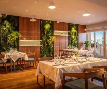 President, Valamar Collection - 35