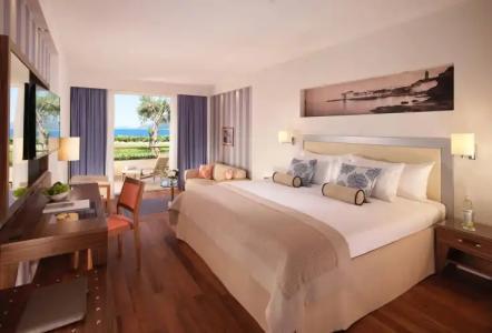 President, Valamar Collection - 39