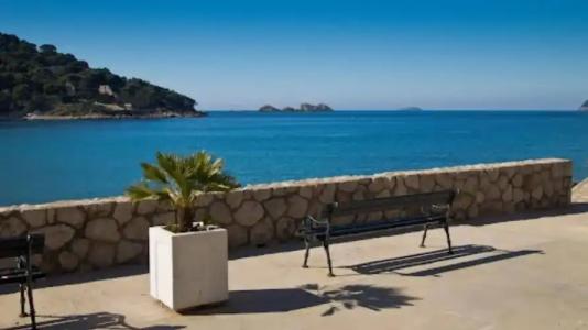 Guesthouse Anna - 11