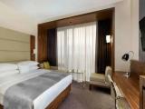 Guest Double room