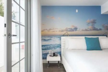 President Villa - 79