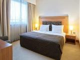 Executive Double Suite