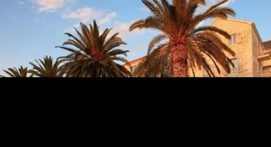 Riva Marina Hvar - 48