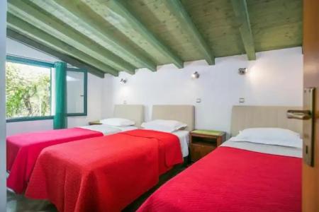 Garden Apartment - 51