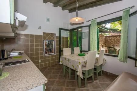 Garden Apartment - 158