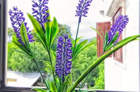 Palace Derossi - 130