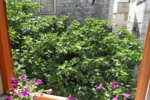 Guesthouse Ruzica, Trogir