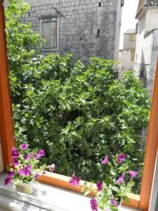 Guesthouse Ruzica - 0