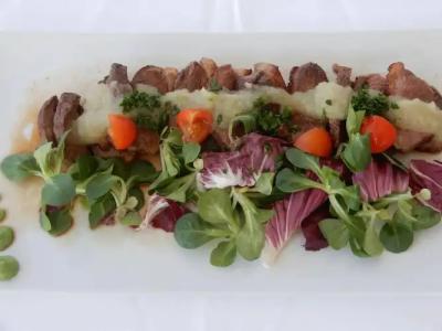 Villa Mediterana - 16