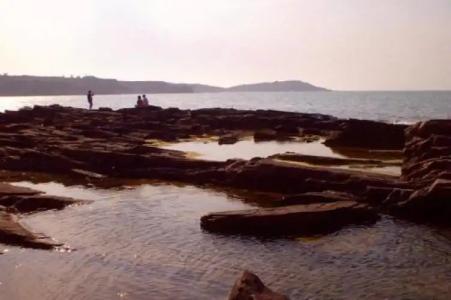 Guest House Yavorov - 11