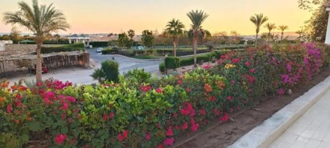 Eden Rock Namaa Bay - 78