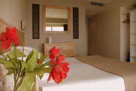 Hôtel Campo Dell'Oro - 99