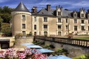 Chateau des Arpentis Mini-hotel, Amboise