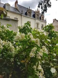 Le Clos d'Amboise - 49