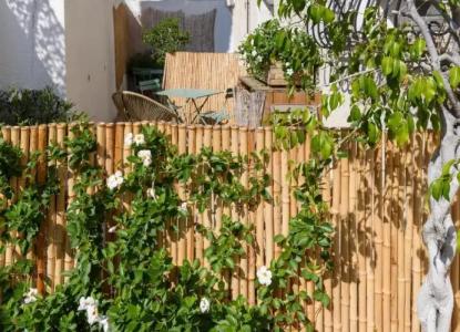 & Studios Astor - 24