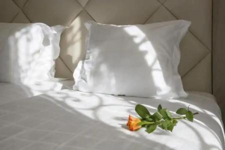 GOLDEN TULIP CANNES de PARIS - 249
