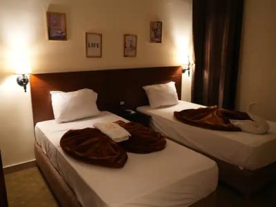 Hôtel Le Montana & Spa - 3